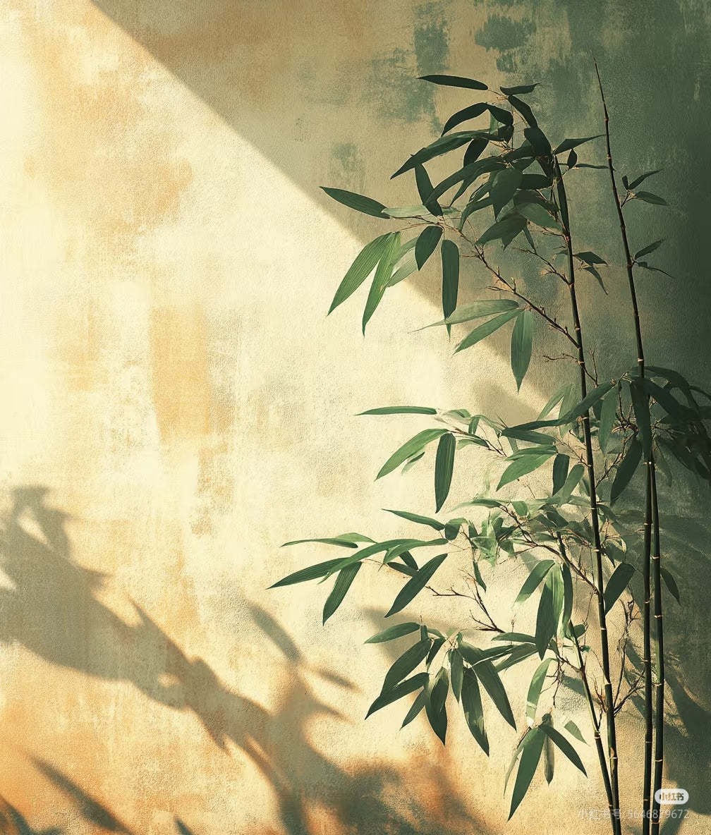 【Maria Pick】2025.7.13 zhao limei