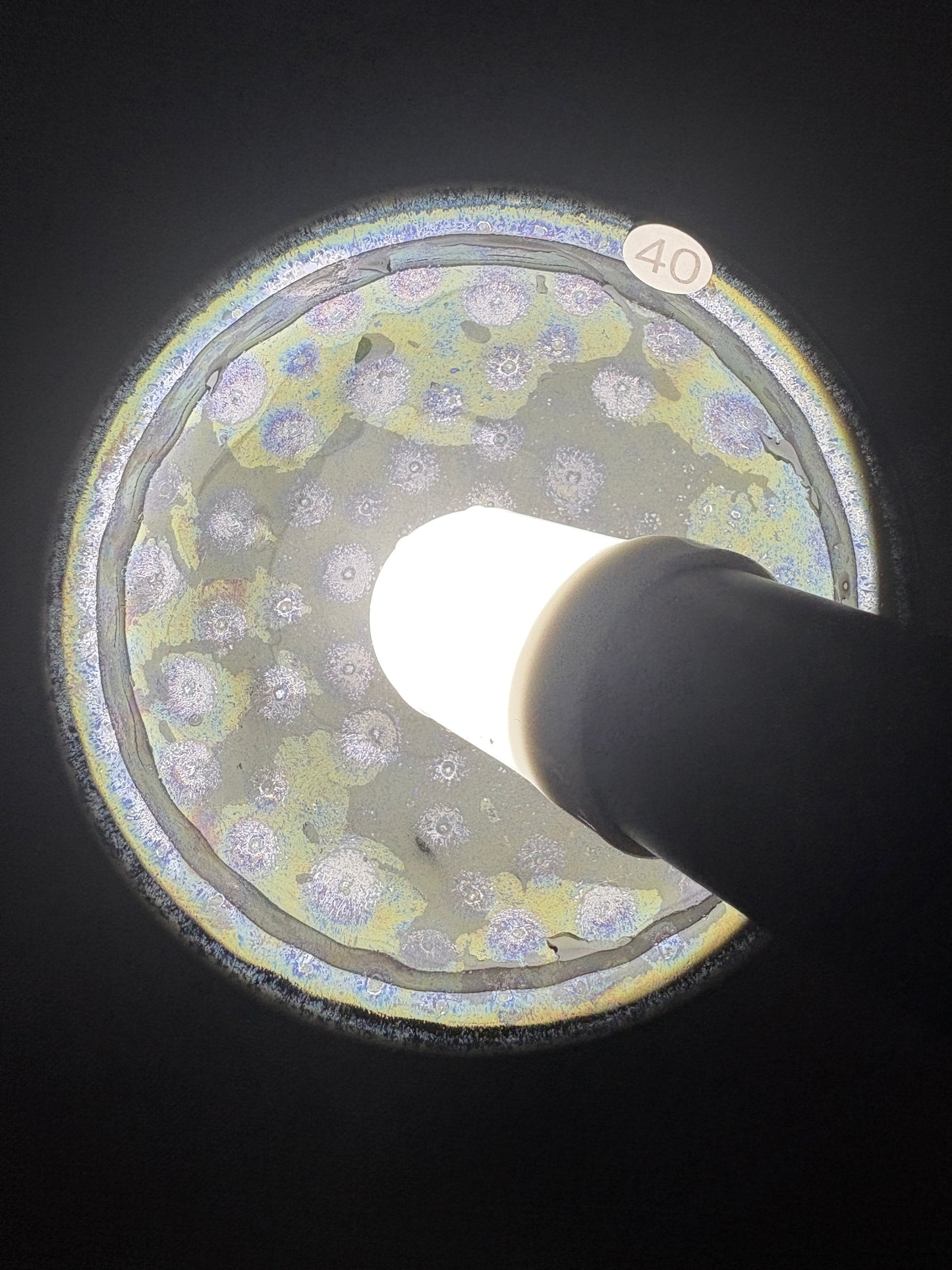 【Michael Pick】09.24