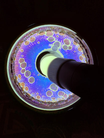 【Michael Pick】08.28