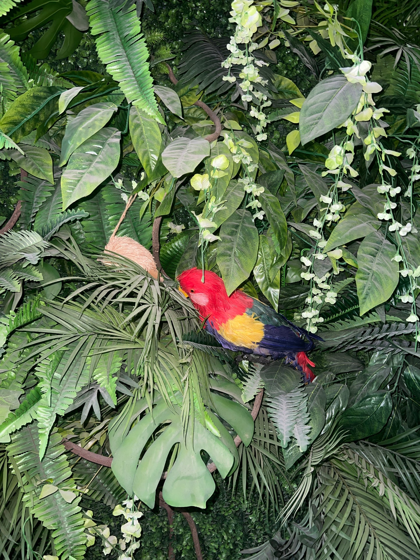 【Maria Pick】xm 2025.7.29