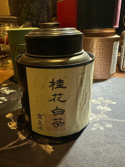 【Michael Pick】04.19 teashop