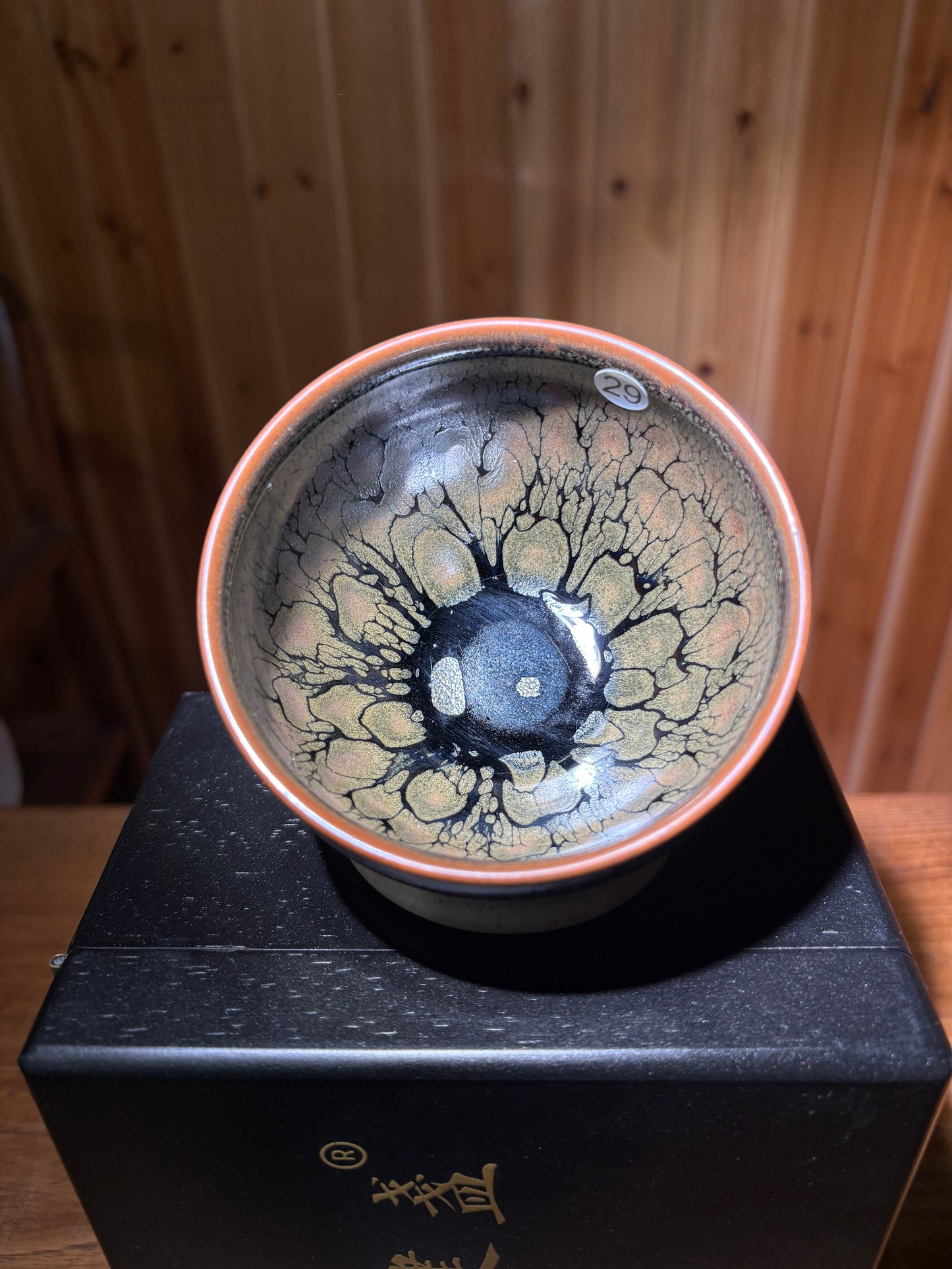 【Michael Pick】06.20