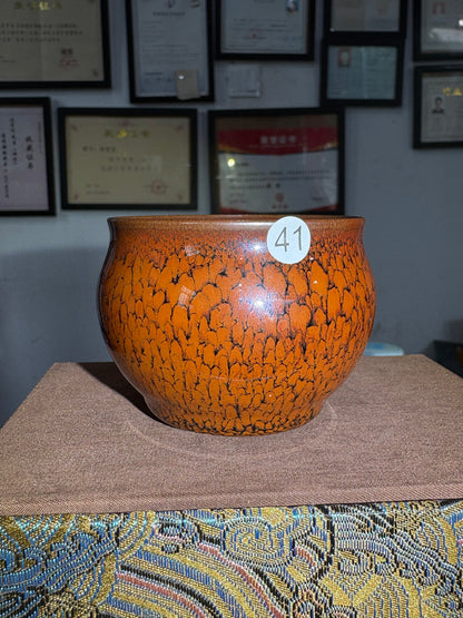 【Michael Pick】05.28