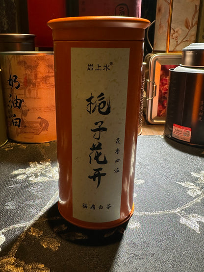 【Michael Pick】04.19 teashop