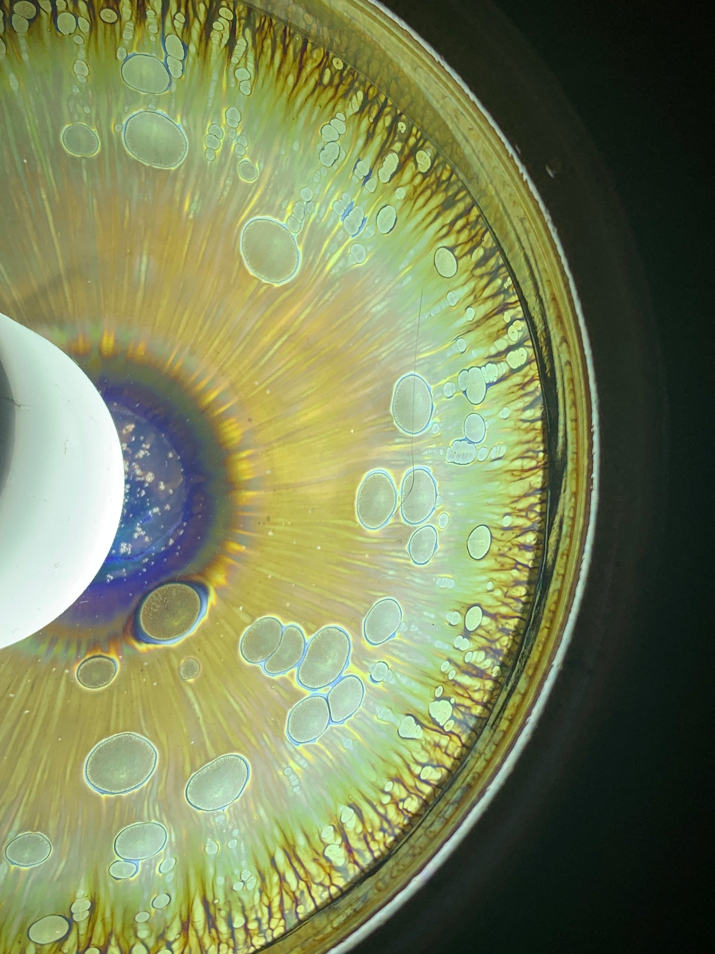 【Michael Pick】03.23