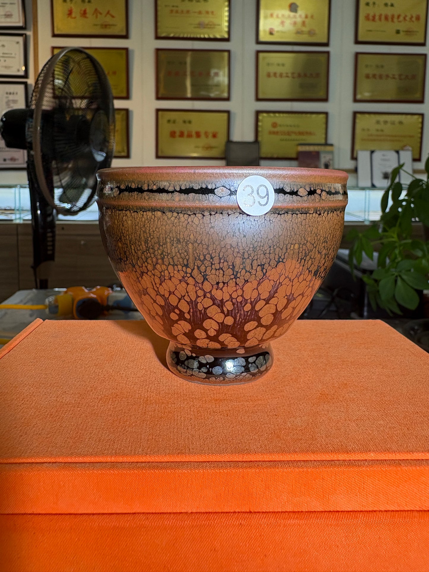 【Michael Pick】06.14