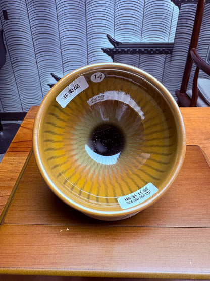 【Michael Pick】06.15