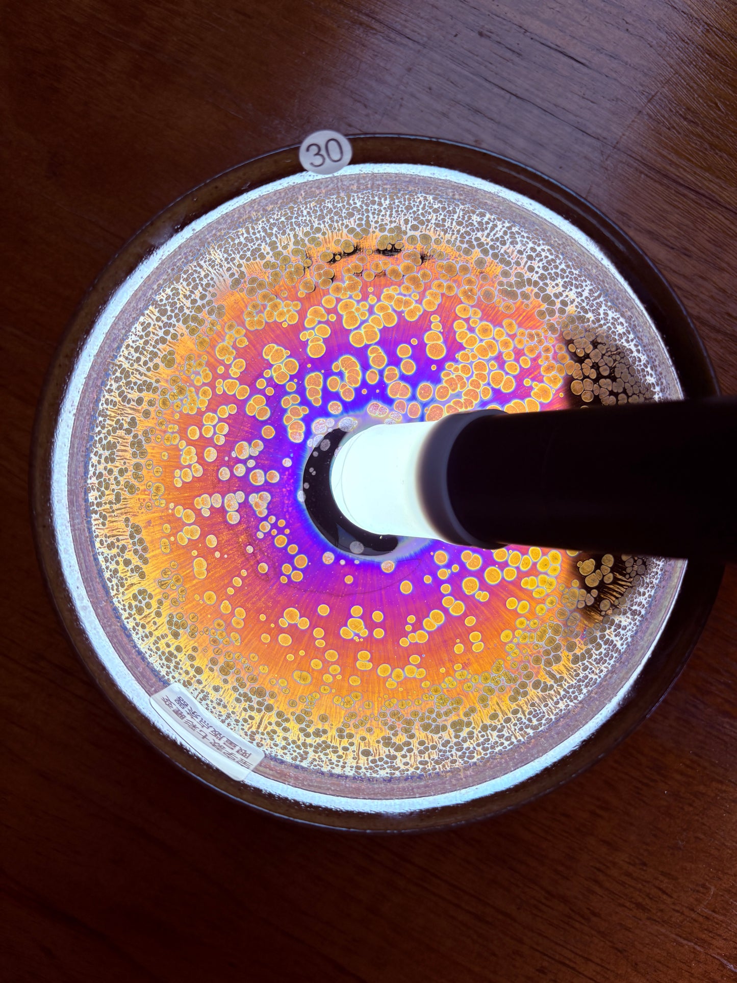 【Michael Pick】07.17