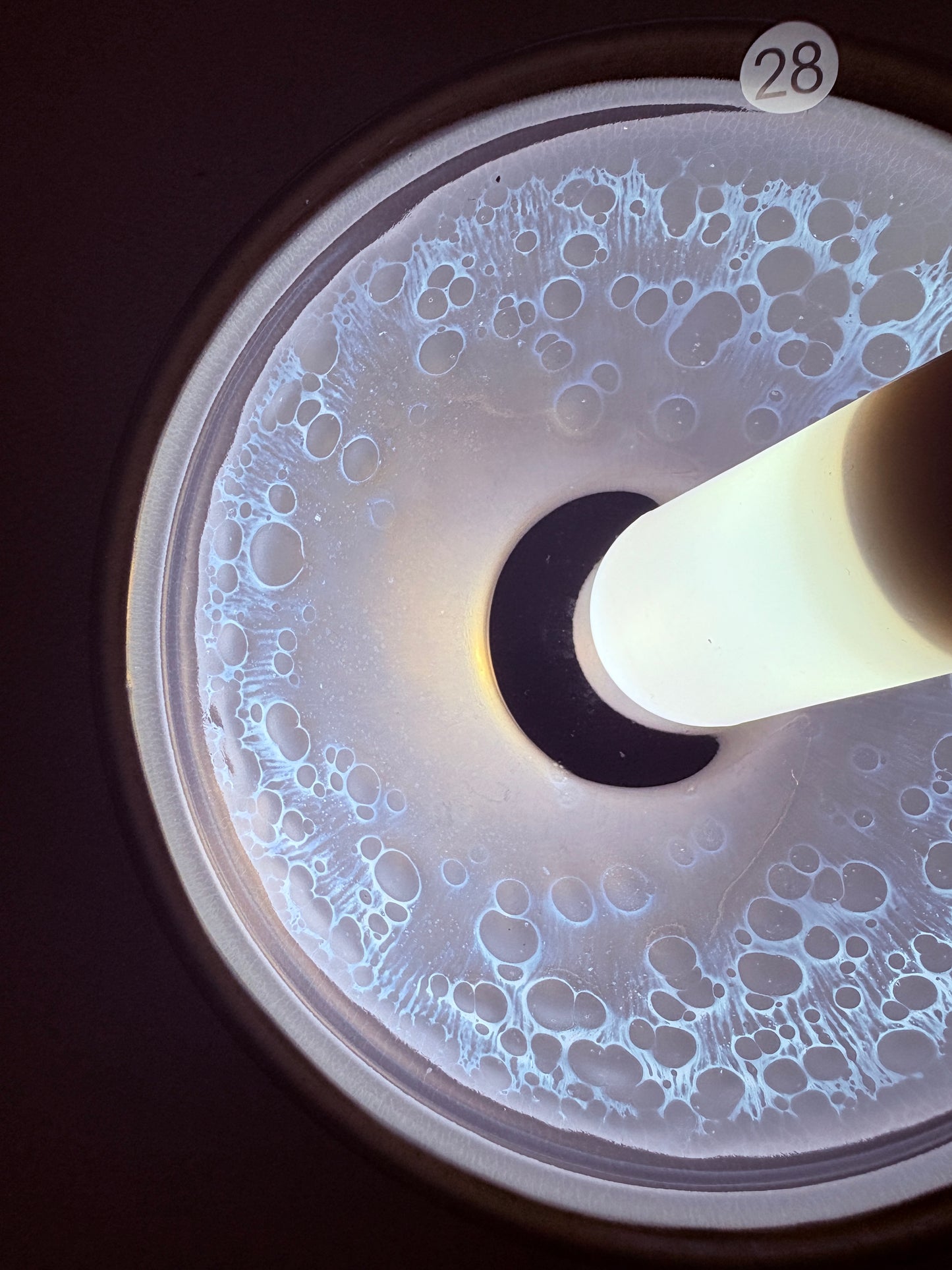 【Michael Pick】06.13