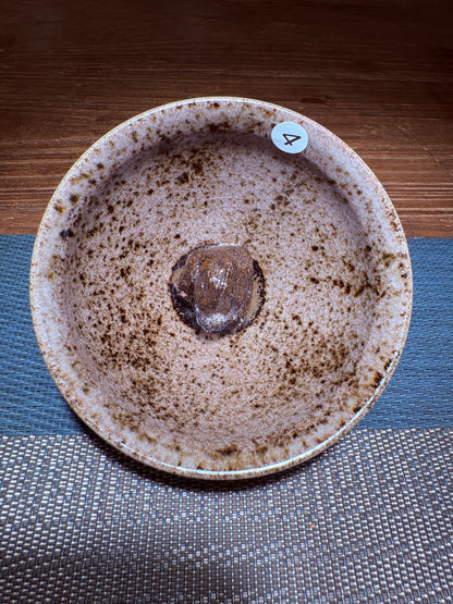 【Michael Pick】08.21