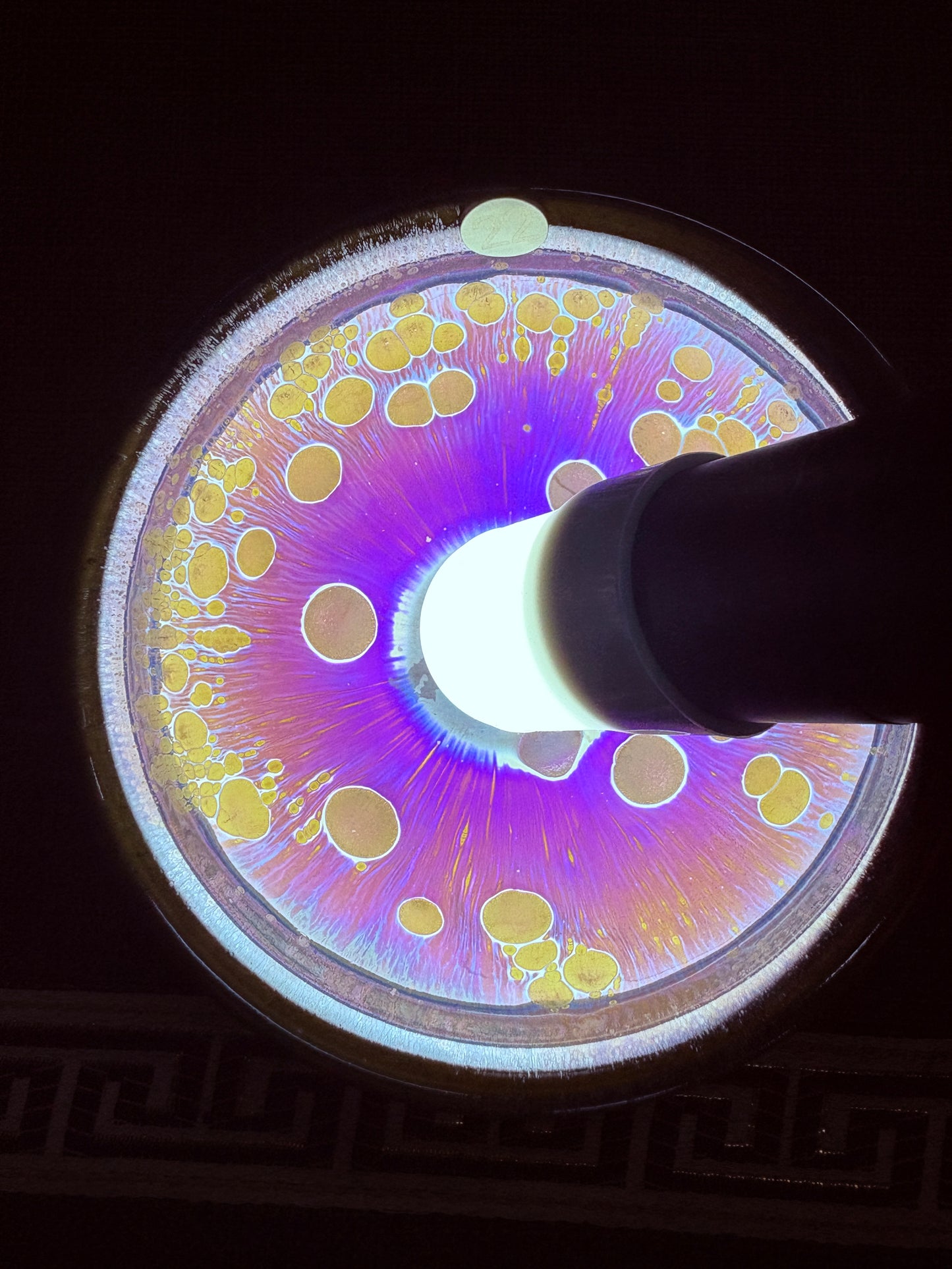 【Michael Pick】07.31