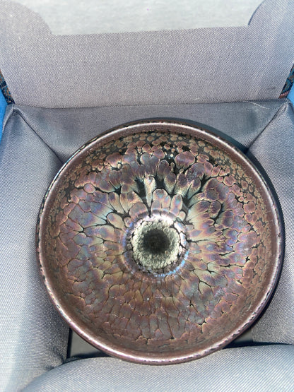 Seven Jian Zhan 08.29