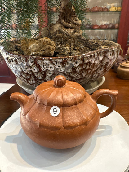 【Michael Pick】07.19