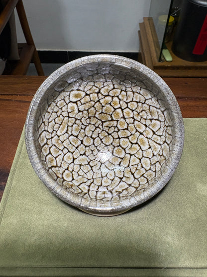 【Michael Pick】06.26