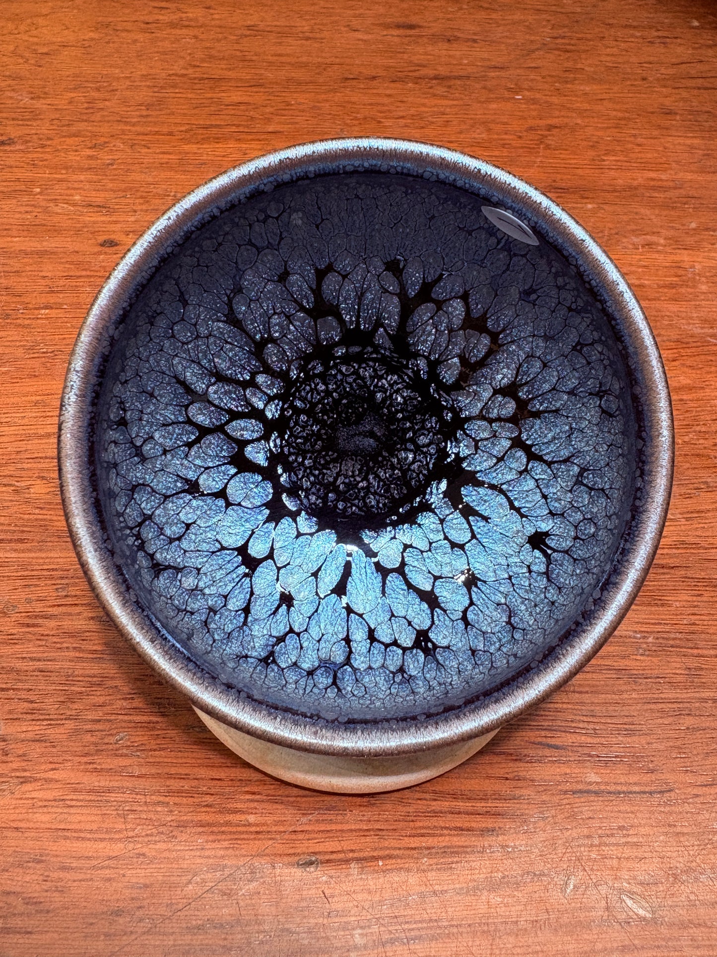 【Michael Pick】08.23（evening）