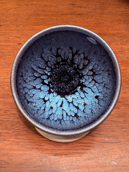 【Michael Pick】08.23（evening）