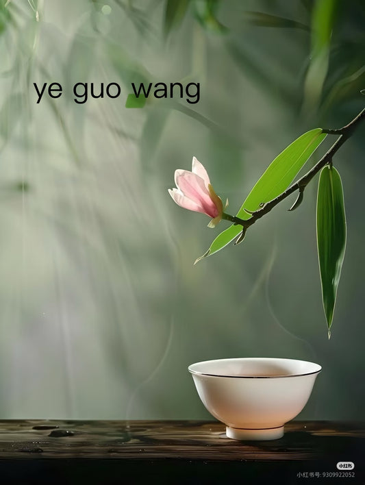 【Michael Pick】06.19