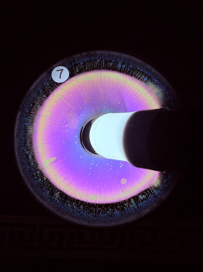 【Michael Pick】07.31