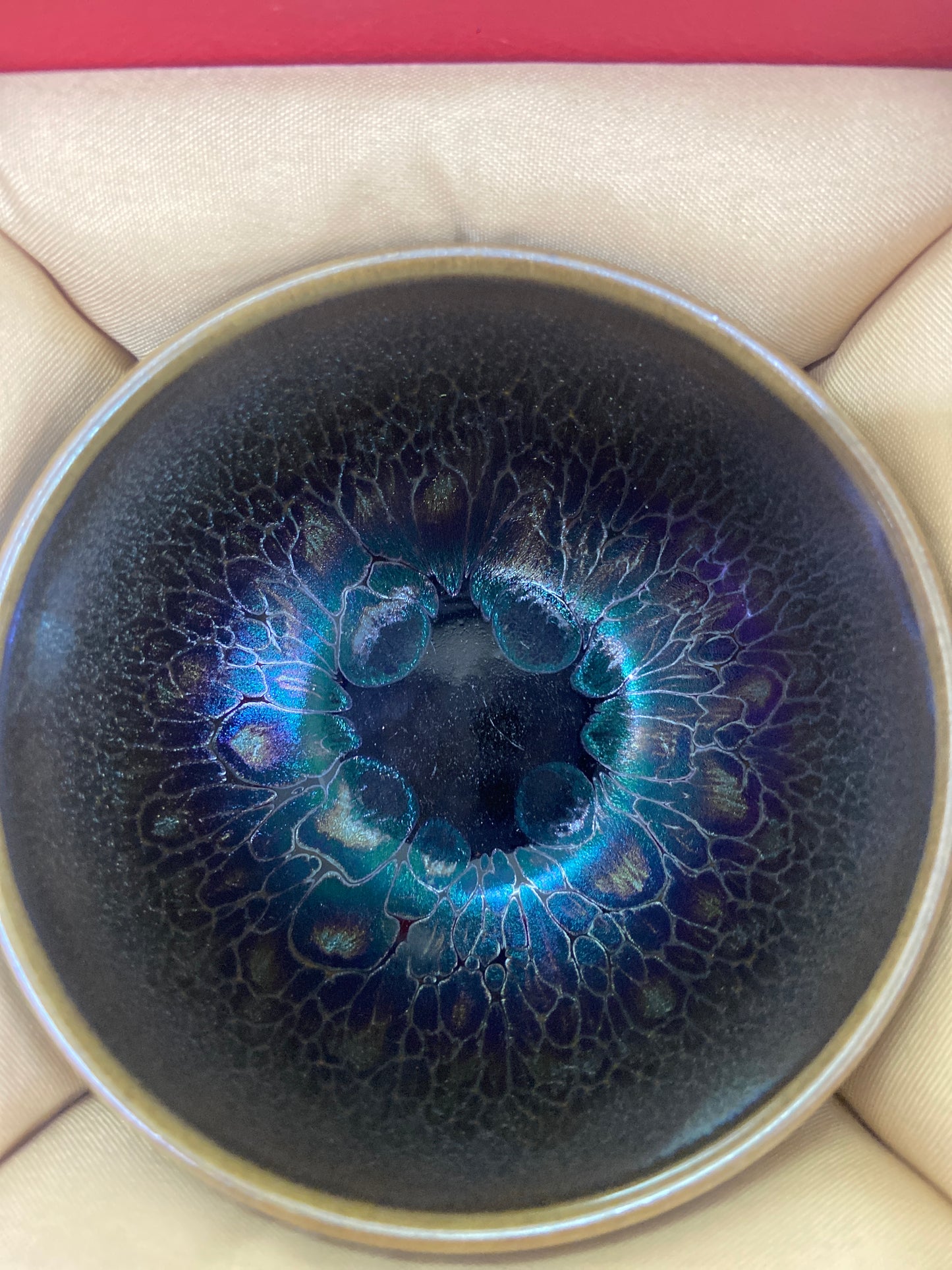 【Seven Jian Zhan 】teacup - 4.19