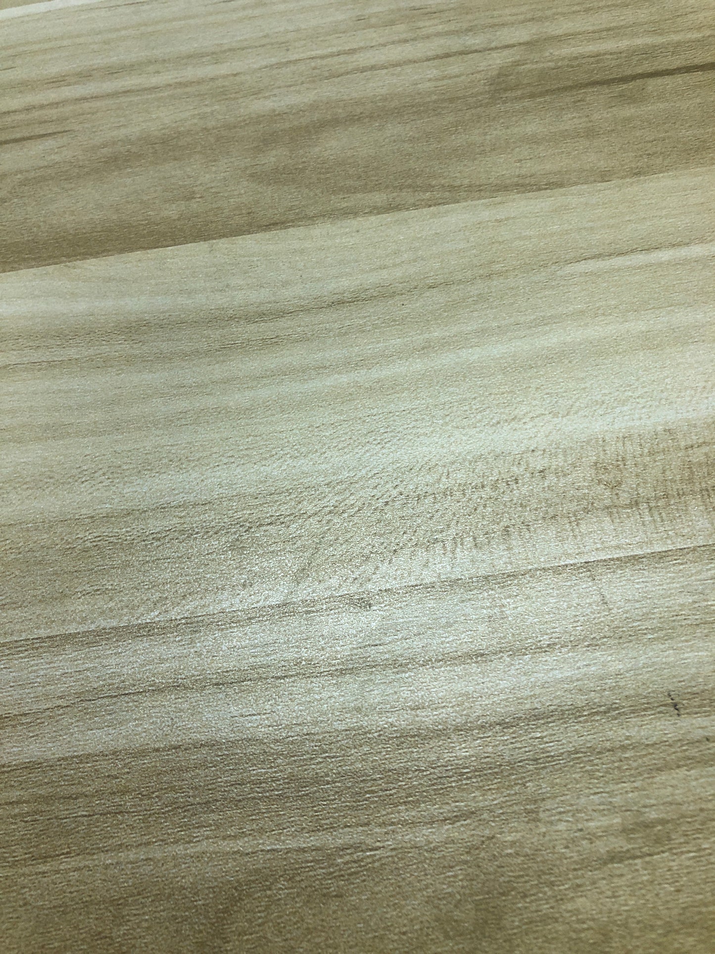 【Maria Pick】2025.7.17