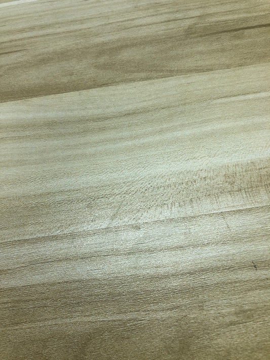 【Maria Pick】2025.7.17