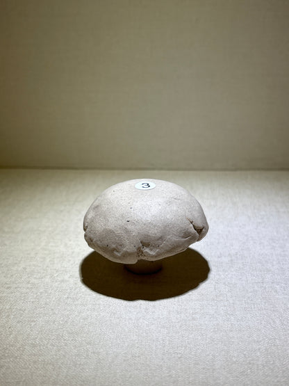 【Michael Pick】07.20