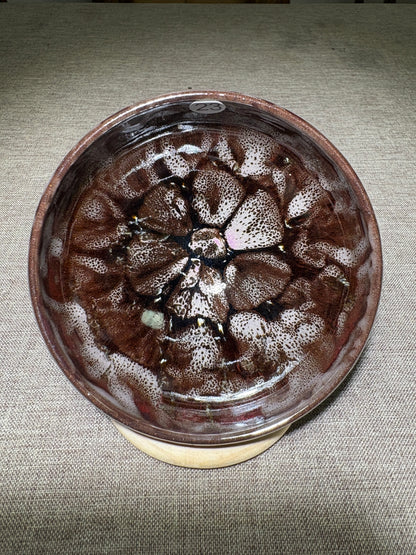 【Michael Pick】09.24