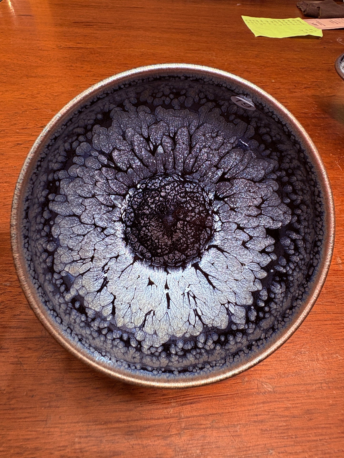 【Michael Pick】08.23（evening）