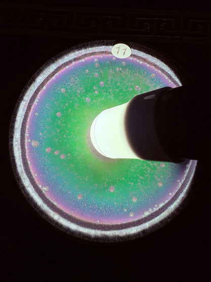 【Michael Pick】07.31