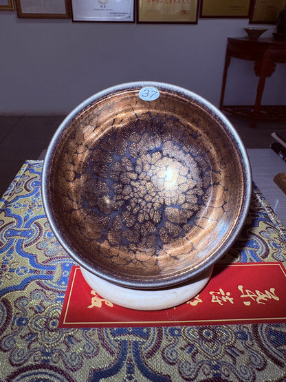 【Michael Pick】06.16