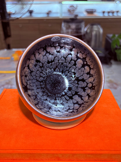 【Michael Pick】06.14