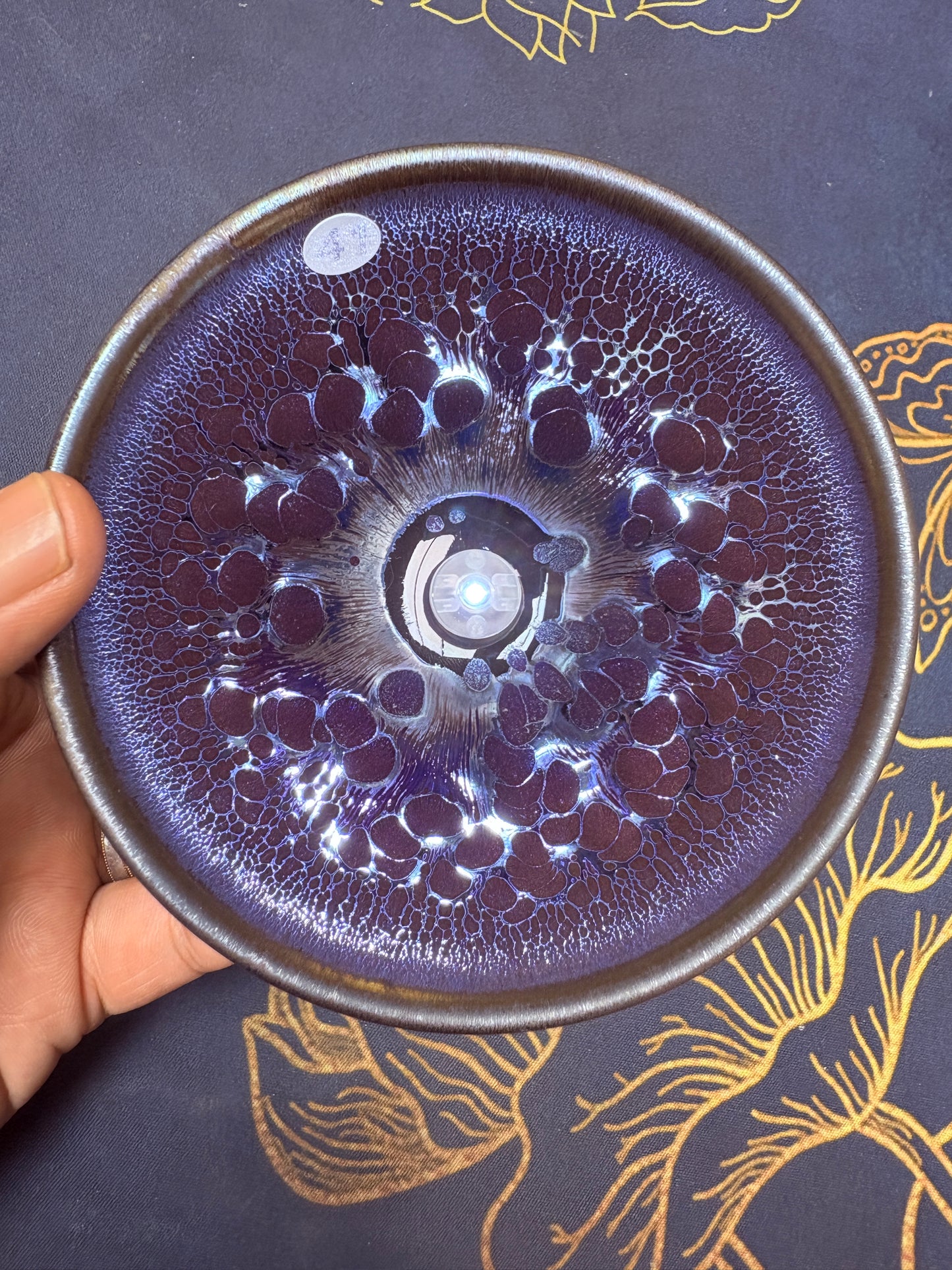 【Michael Pick】06.25