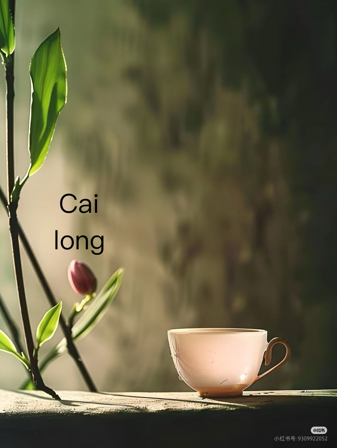 【Michael Pick】05.30