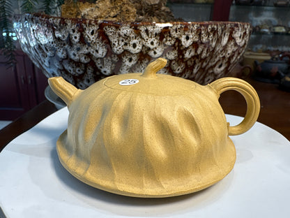 【Michael Pick】07.19