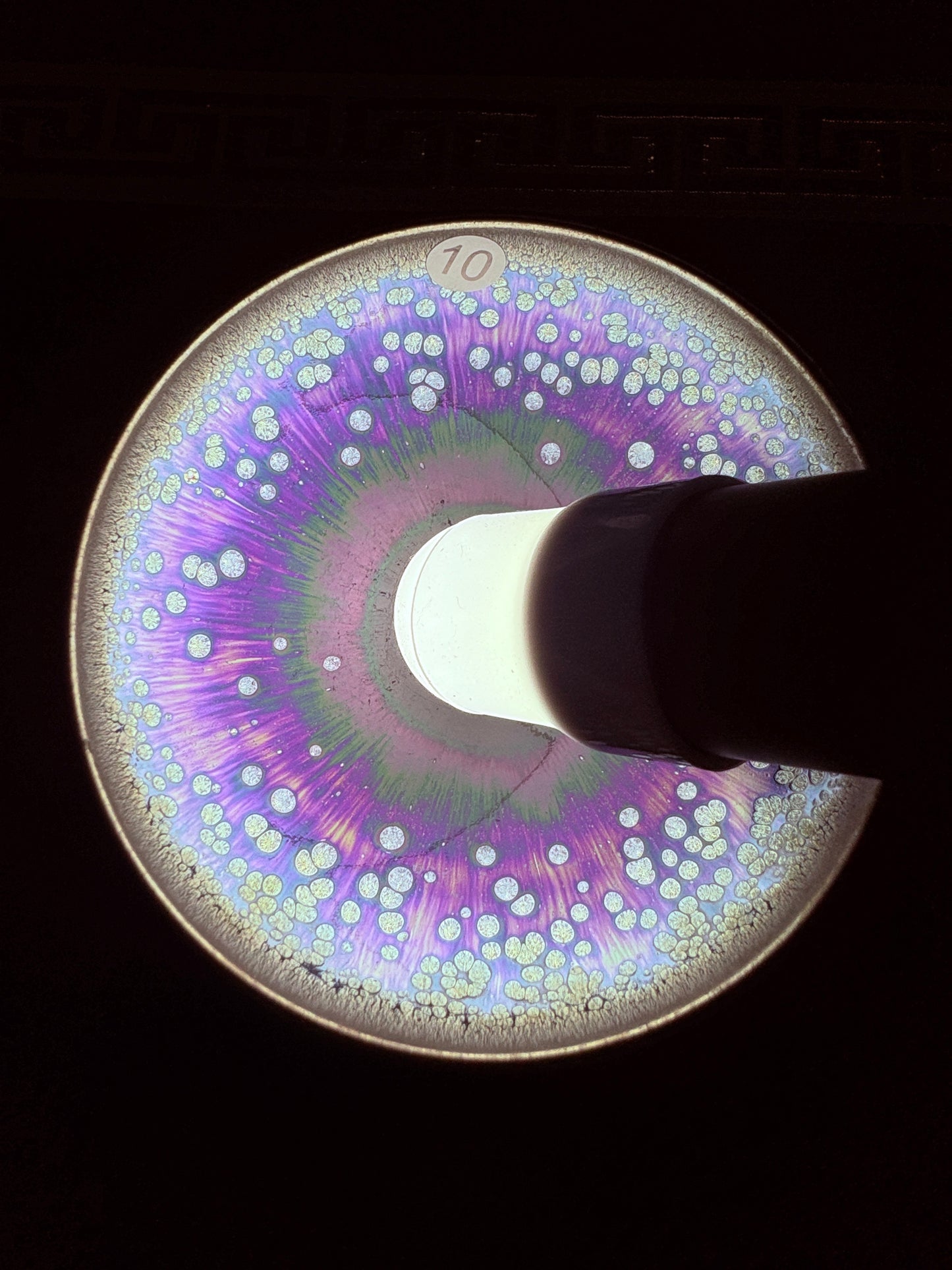 【Michael Pick】07.31