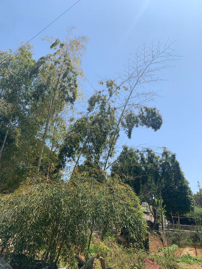 【Michael Pick】04.02