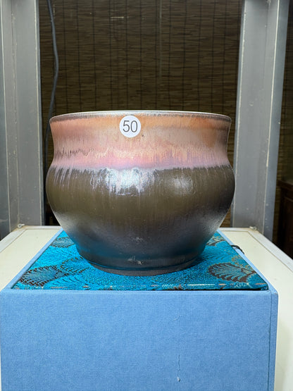 【Michael Pick】05.29