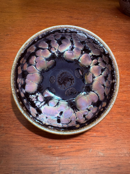 【Michael Pick】08.23（evening）