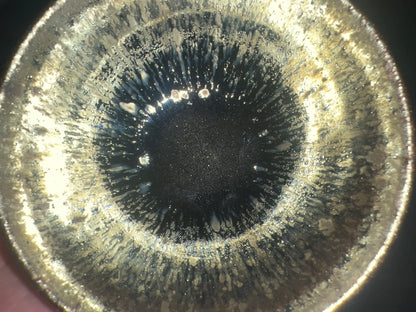 【Seven Jian Zhan 】teacup - 5.22