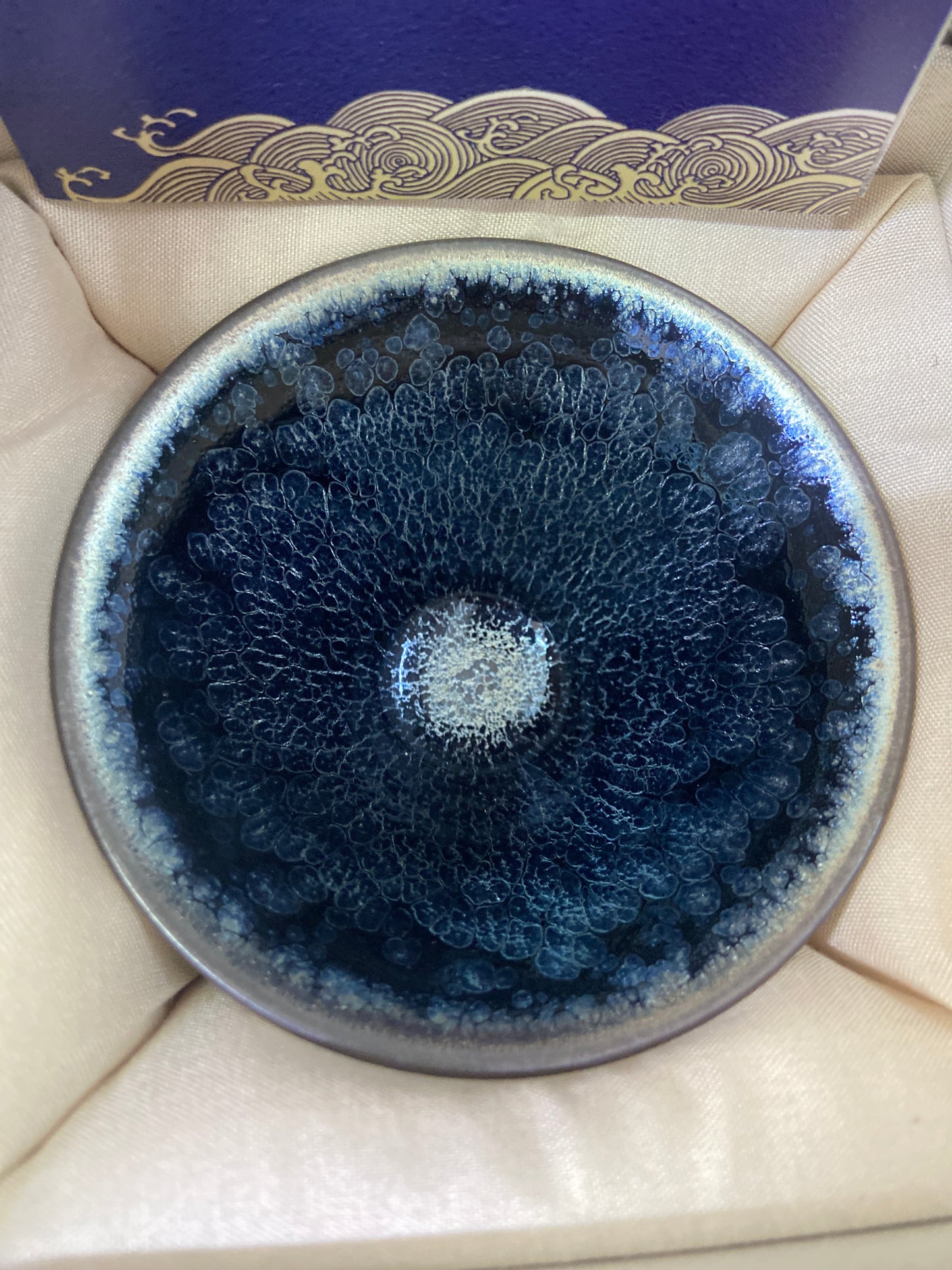 【Seven Jian Zhan 】teacup - 5.22