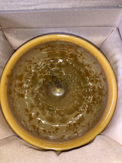 【Maria Pick】xm 2025.7.29