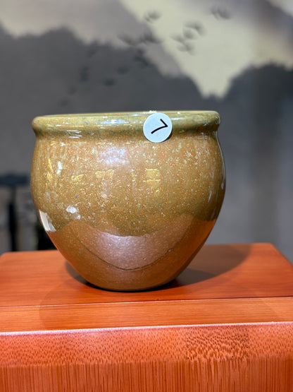 【Michael Pick】05.17