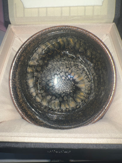 【Seven Jian Zhan 】teacup - 4.19