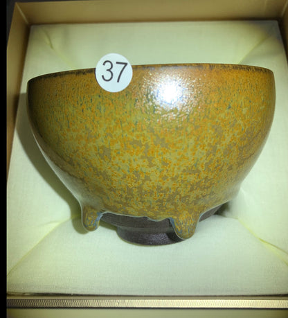 【Michael Pick】05.02