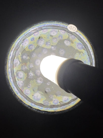 【Michael Pick】09.24