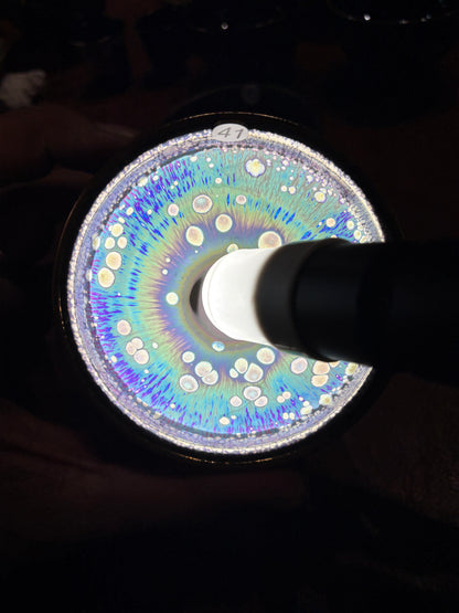 【Michael Pick】09.26