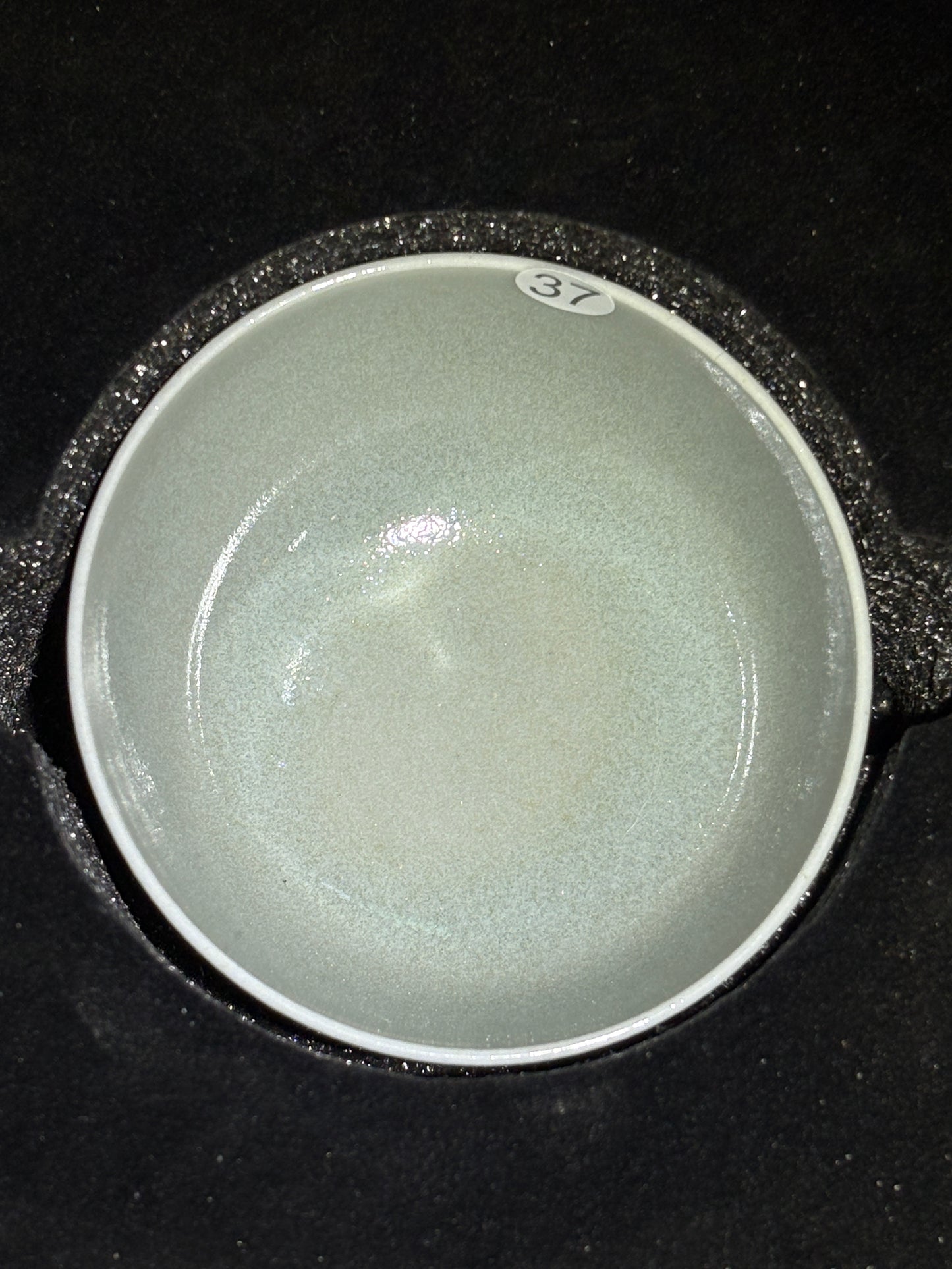 【Michael Pick】05.13