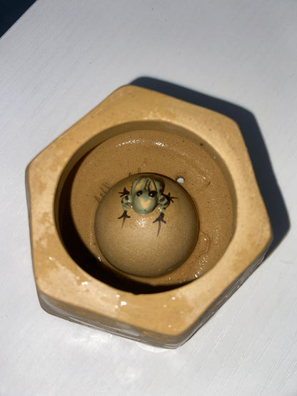 Seven Jian Zhan 08.29