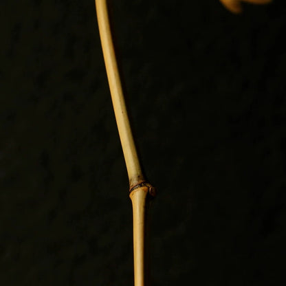 Handmade Lotus Bamboo Art – Solid Carved Decor for Zen Tea Spaces