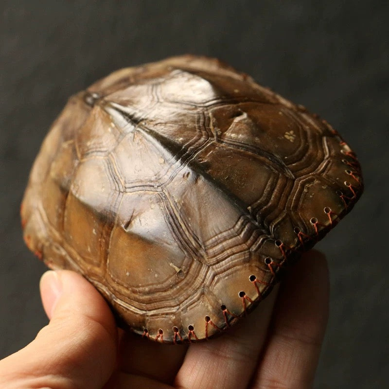 Artisan Bamboo Tea Scoop – Woven Interior with Tortoiseshell Pattern